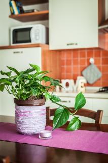 Residenza Aurora del Mare - Rimini - 5