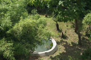 Casa Vacanze L'Agrifoglio - Montefalcione - 9