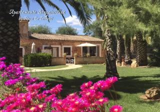 Apartment Bougaivillea by Finca Es Torrent - Sa Ràpita - 0