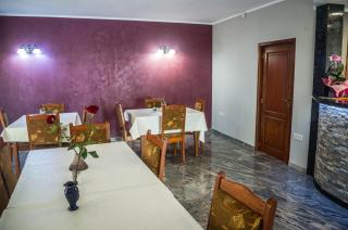 Pensiunea Christiana - Arad - 6
