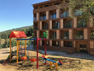The Valley, Didveli 31, Bakuriani, apartment 303 - 9