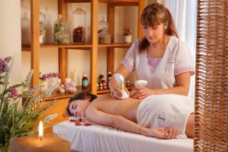 Chamonix Posada & Spa - 7