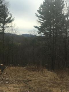 Cozy Cabin in the Catskills - East Durham - 3