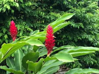 Flane Gite Rural De Tourisme - 8