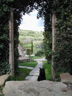 Agriturismo Casa Fibbianello - Semproniano - 5