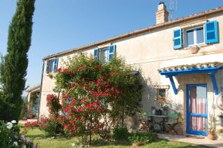 B&B Vento di Rose - Monterubbiano - 7