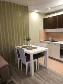 Apartman Sofia - Vrnjačka Banja - 2