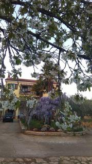 APP Carla - Novigrad Istria - 1