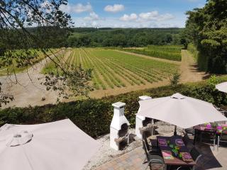 Cozy Holiday Home in Francorchamps Belgium - Francorchamps - 8