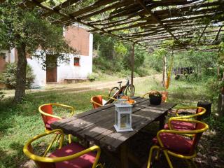 Quiet and cottage in the estate Casas da Cerca near Troviscais - Troviscais - 6