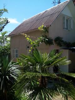 Cottage Teremok 7 people - Ureki - 7
