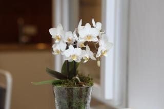 Apartment Addressa - Zagreb - 2