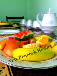 New Peacock Resort - Dambulla - 2
