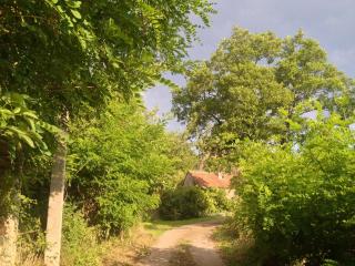 La Tour - Marcilly-la-Gueurce - 6