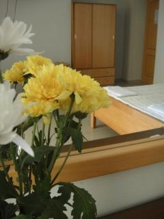 Leonidas Rooms - Platanias - 2