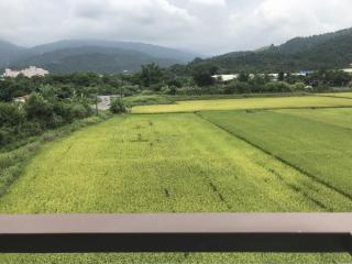 Jin - Dongshan - 8