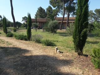 mas clair de lune - Saint-Rémy-de-Provence - 5