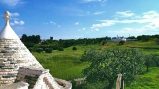 Trulli Spinosa - Cisternino - 5