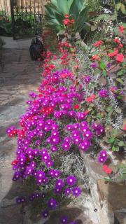 Bed and Breakfast Su Niu - Quartucciu - 6