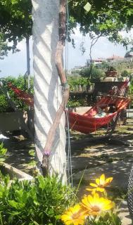 La Corte di Nonno - Frascati - 4