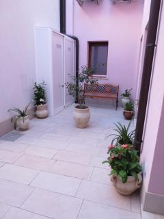 Vergilia - 8