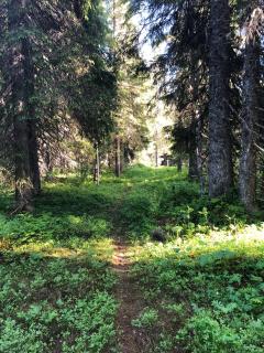 Fjällsikten Apartment - Granberget - 7