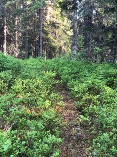 Fjällsikten Apartment - 6