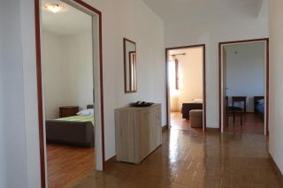 Apartment Dede - Nin - 4