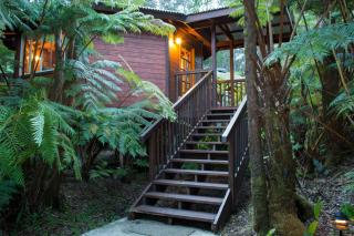 Volcano Village Lodge - Volcano - 7