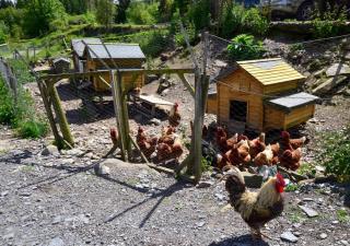 Maesgwm Barn - Llanfachreth - 9
