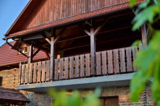 Green silence - Bedenica - 1