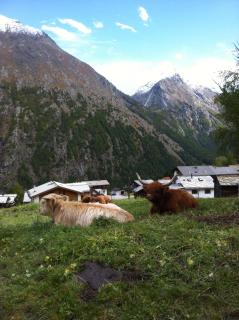 Bergruh - Saas-Fee - 6