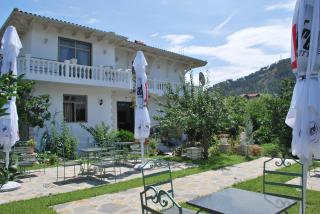Blen Grand - Berat - 1