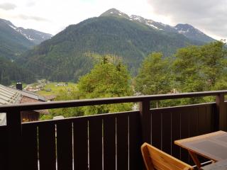 Haus Tannegg - Pettneu am Arlberg - 3
