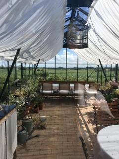 Rosengave - Alsted - 4