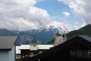 L'ours blanc - 5
