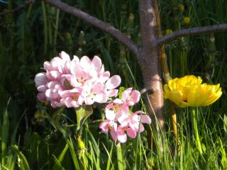 Weberhof - Trins - 4