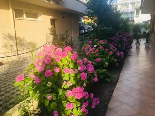 Hotel Elmaz - Lozenets - 4