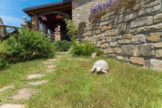 Casa brillocco Castellabate - Montecorice - 1