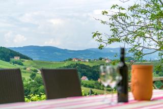 Das Weinberghaus - Ratsch an der Weinstraße - 6