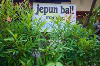 Jepun Bali Homestay Sanur - Sanur - 3