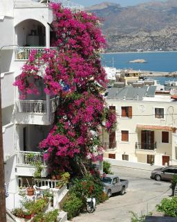 Roses Studios - Karpathos - 8