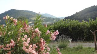 Les Chèvrefeuilles - Manosque - 9