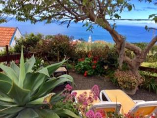 Little Norway in Madeira - 3