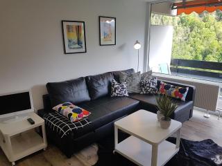 Jutta Deluxe Appartement - Bad Reichenhall - 1