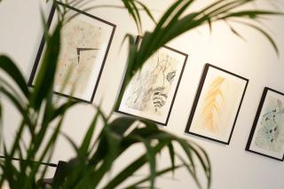 Boutique rooms Kastel Ismaeli - Vela Luka - 1