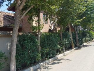 RARE house with garden - Tbilisi - 3