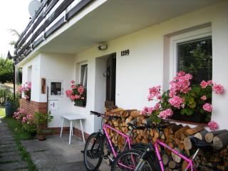 Apartment Red Tree - Vrchlabí - 3