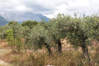 S'Ulumu - Dorgali - 7