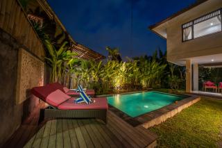 Villa Two Islands - Ubud - 1